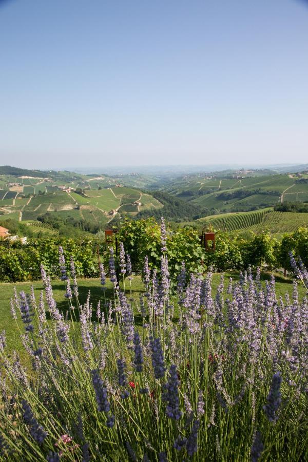La Torricella